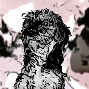 Custom Pet Portrait Commissions
